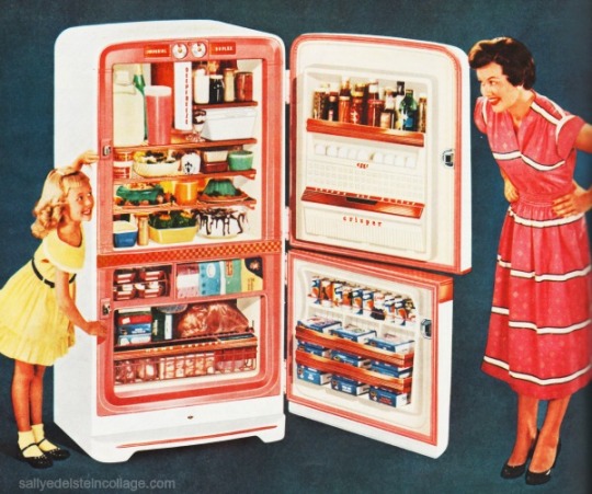 Kitchen Refrigerator 1950s mother daughter